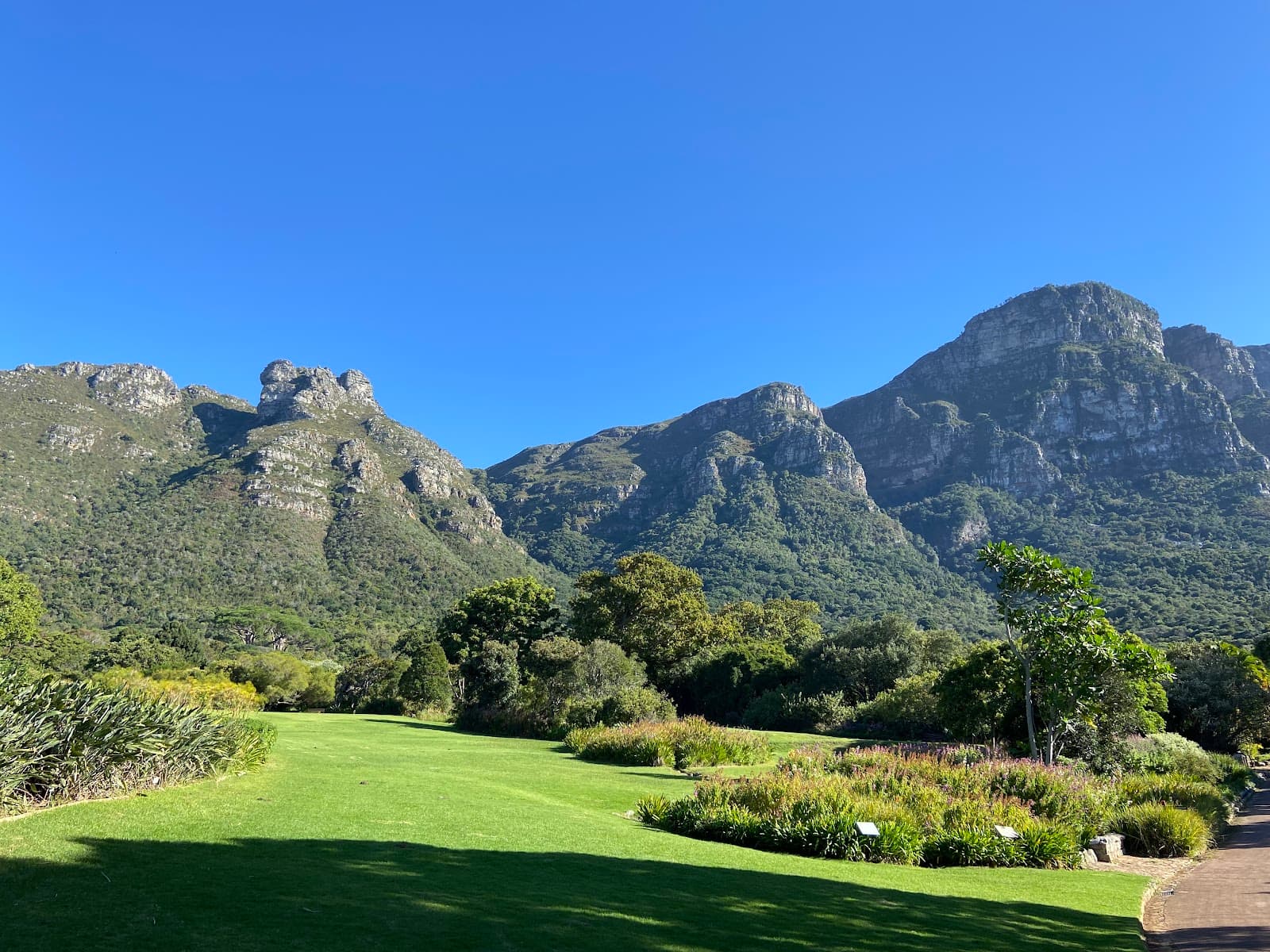 بكج جنوب أفريقيا 8 أيام 4