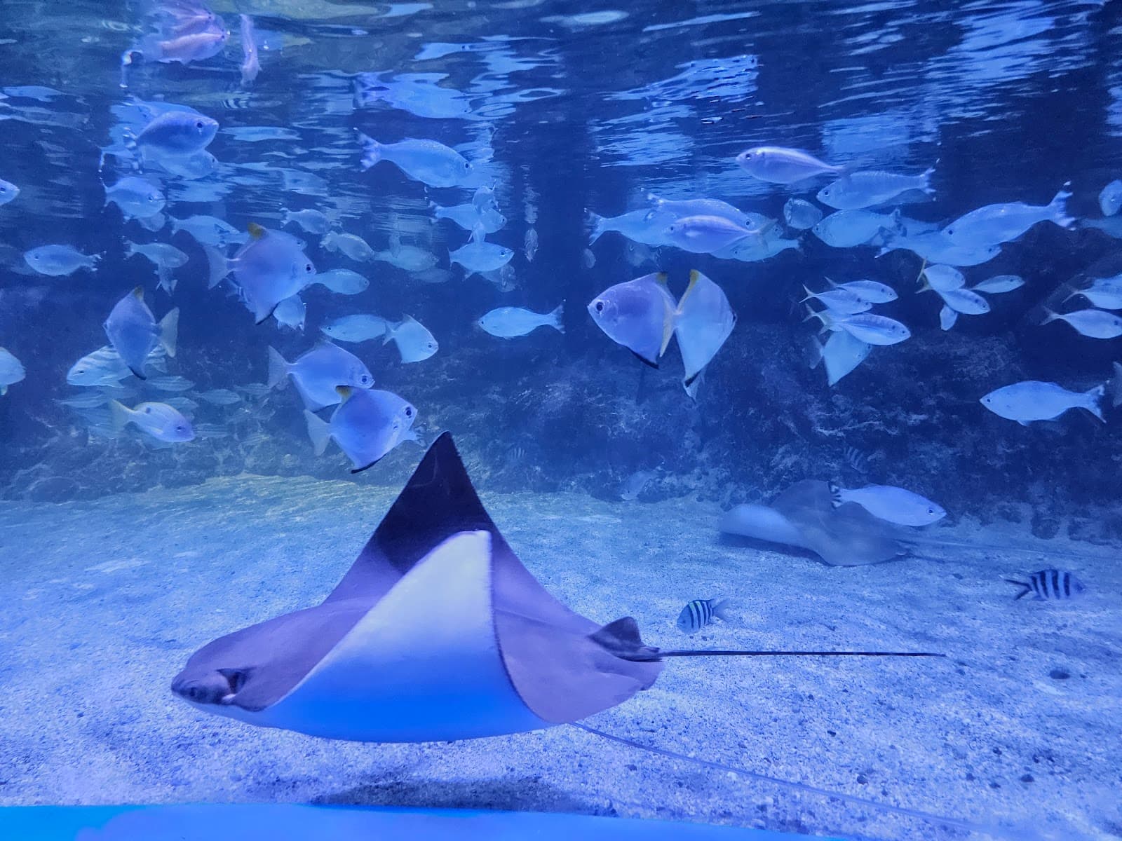جاكرتا، بالي - 7 ليالٍ 6