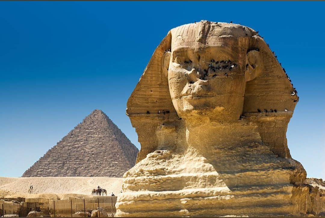 لقطة قريبة لتمثال أبو الهول بالجيزة مع هرم يقف بشموخ في الخلفية تحت سماء زرقاء صافية.