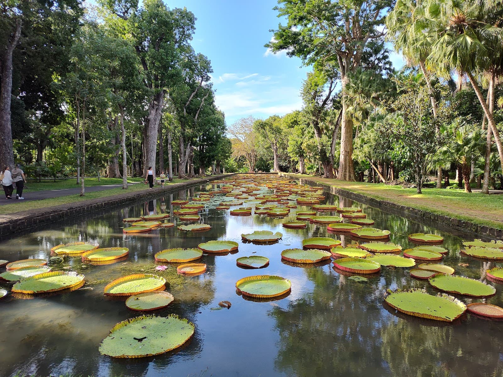 Mauritius - The Residence Resort